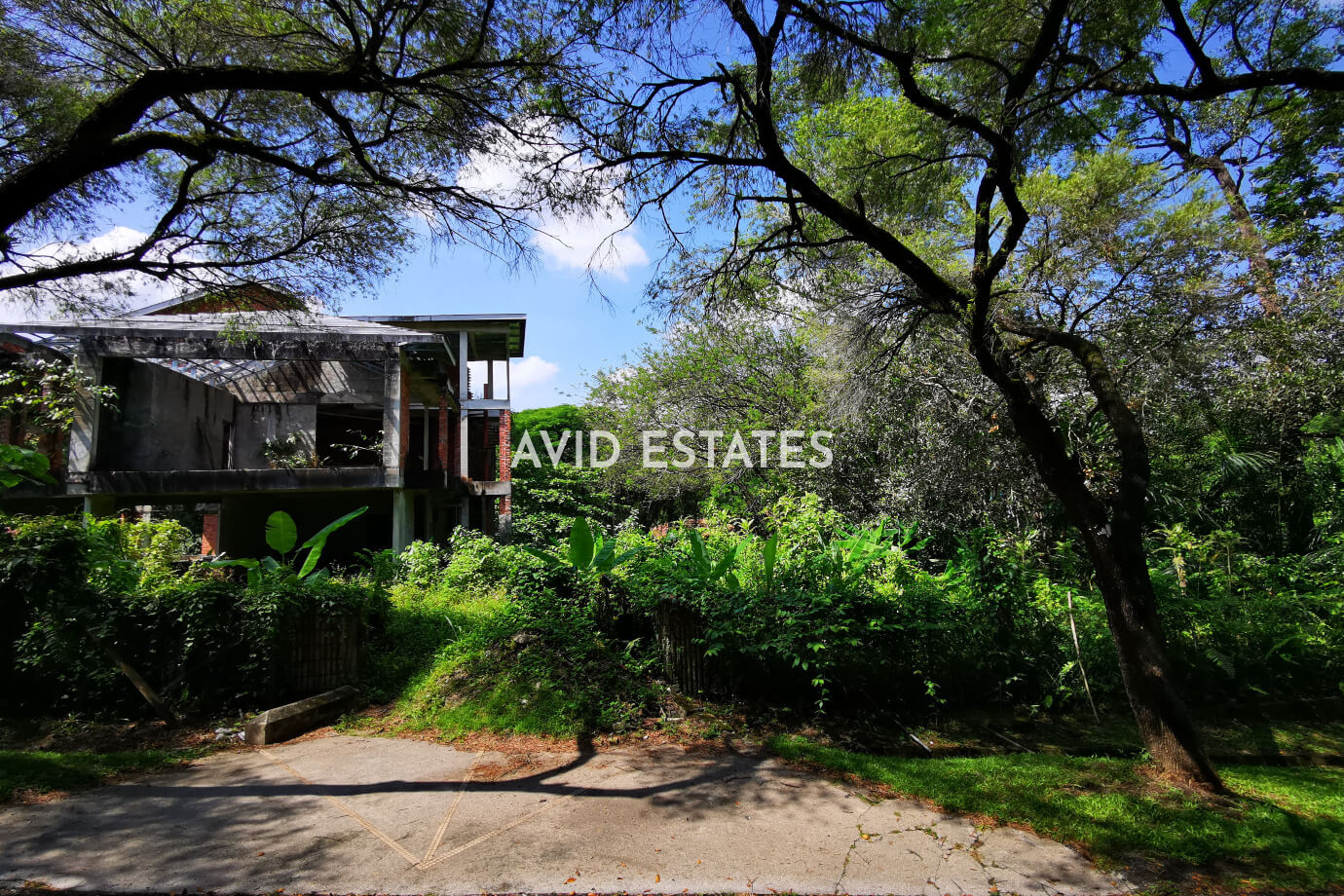 Bukit Tunku,Kuala Lumpur, ,Vacant Land,For Sale,Bukit Tunku,2242