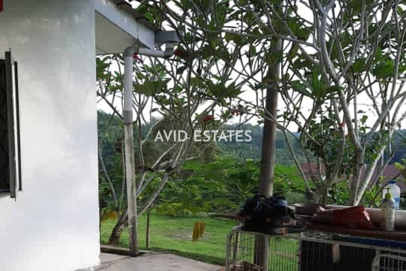 Kuala Kubu Bharu,Selangor, ,Vacant Land,For Sale,Serendah,2341
