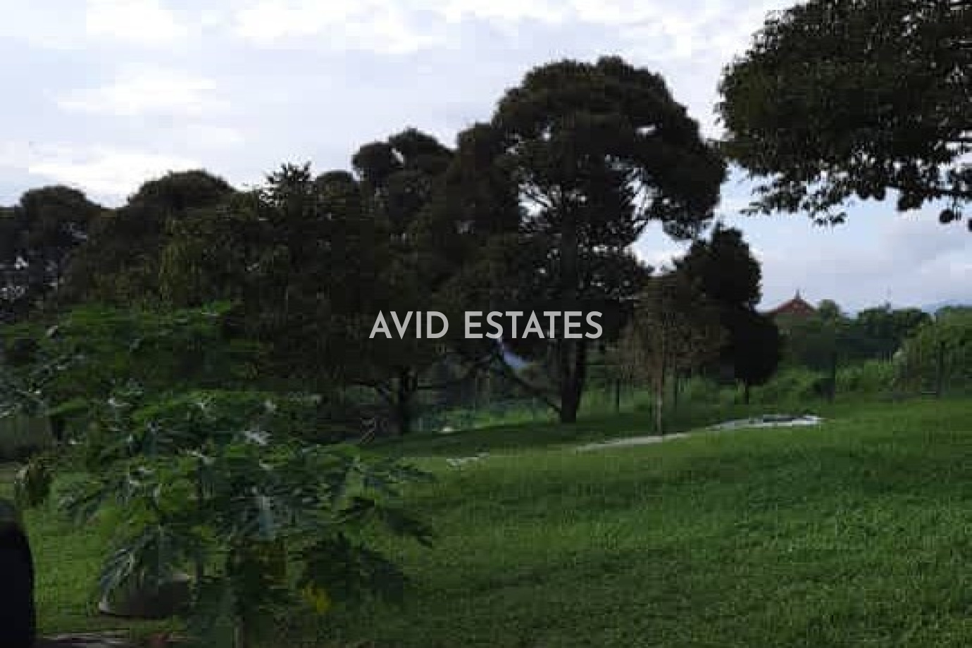 Kuala Kubu Bharu,Selangor, ,Vacant Land,For Sale,Serendah,2341