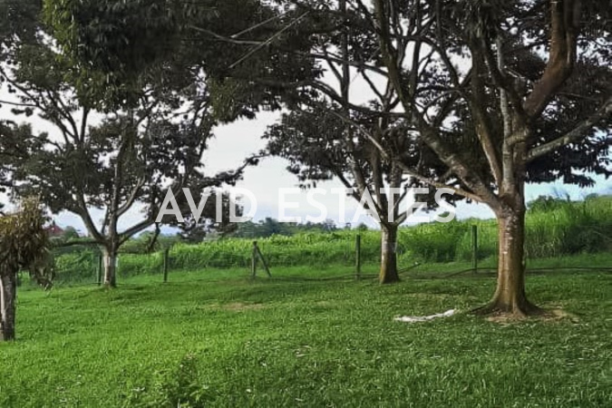 Kuala Kubu Bharu,Selangor, ,Vacant Land,For Sale,Serendah,2341