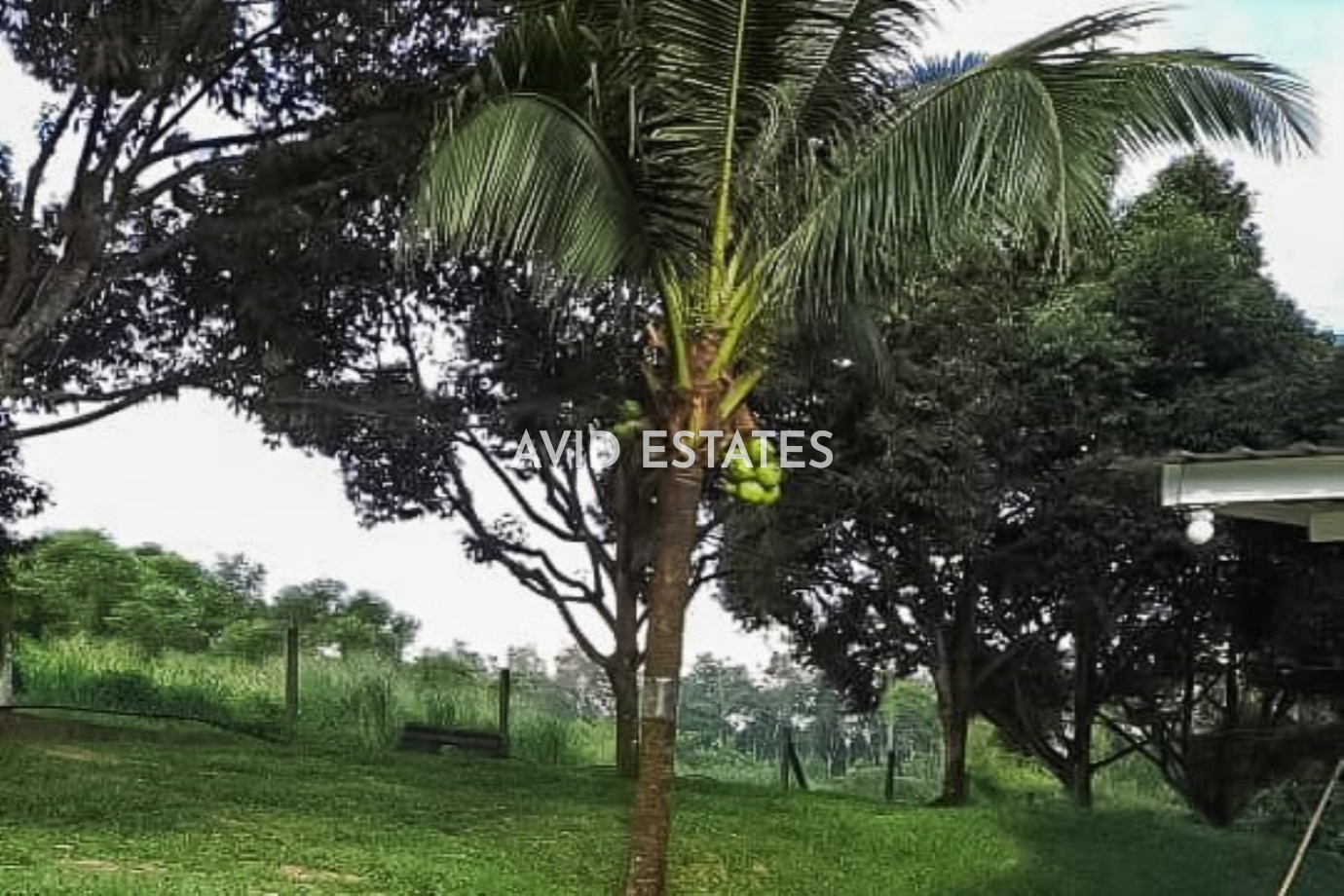 Kuala Kubu Bharu,Selangor, ,Vacant Land,For Sale,Serendah,2341