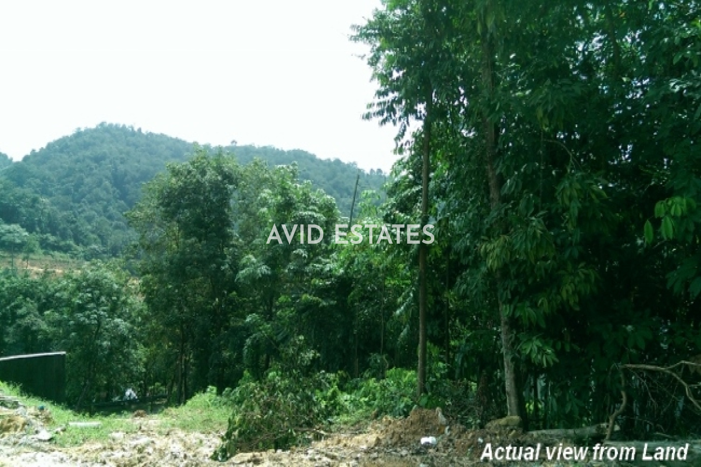 Country Heights Damansara, Kuala Lumpur,Kuala Lumpur, ,Vacant Land,For Sale,Country Height Damansara,Country Height Damansara,1280