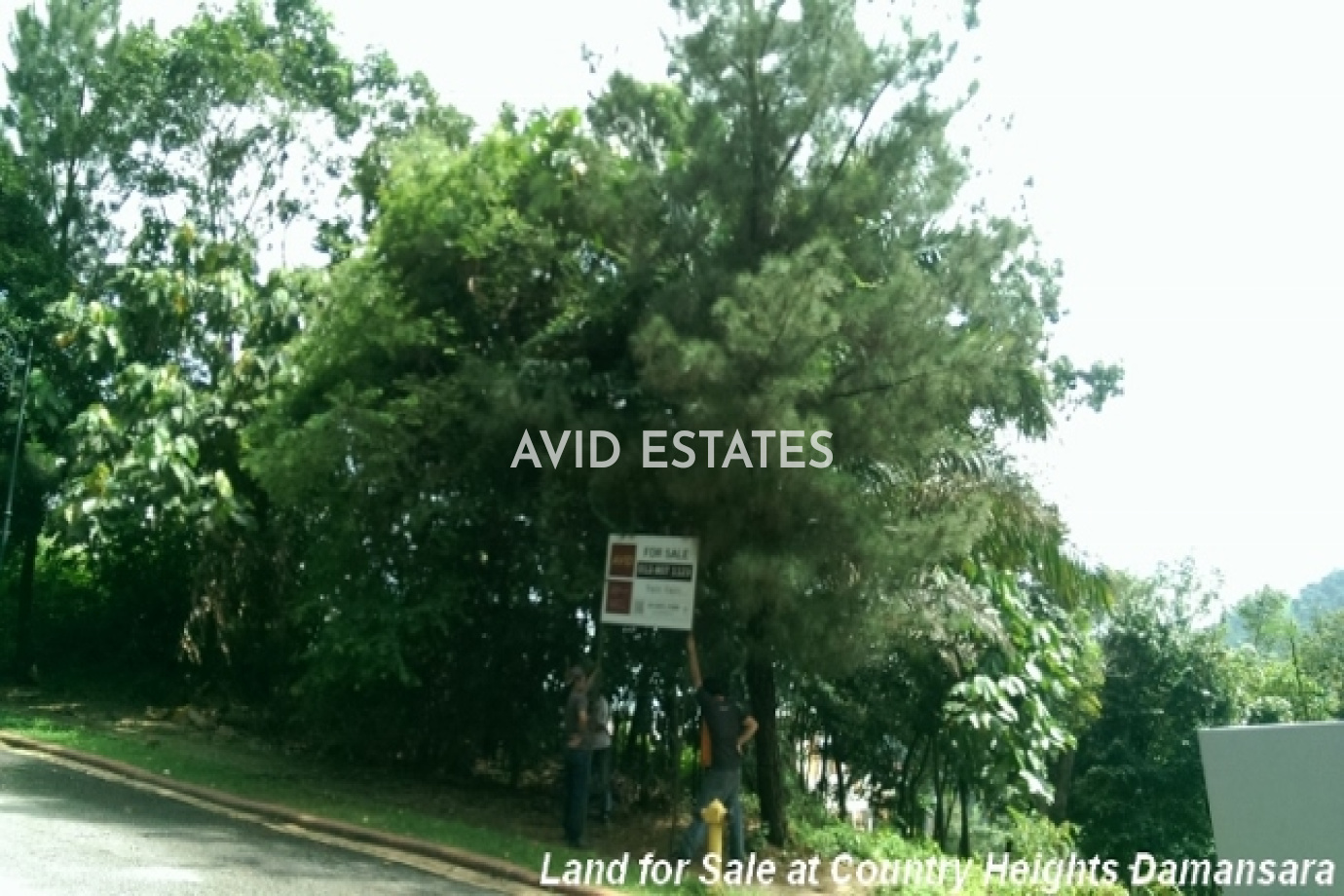 Country Heights Damansara, Kuala Lumpur,Kuala Lumpur, ,Vacant Land,For Sale,Country Height Damansara,Country Height Damansara,1280